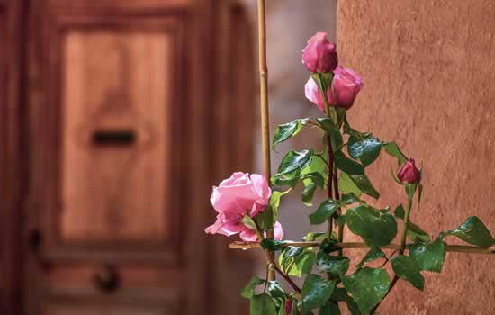 Figura sacra di un angelo per decorazione cimitero